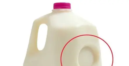 711494349 1024214823623279 5364843282260403669 n