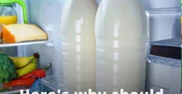 747761418 1556730442524782 7093472197108141036 n