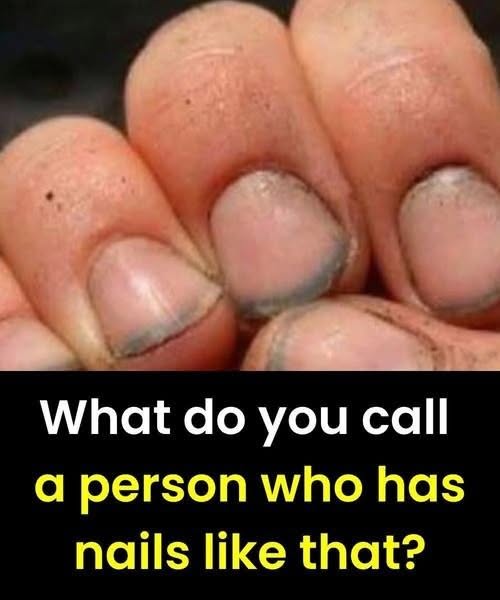 748592740 2506879709740488 1770285995039015882 n